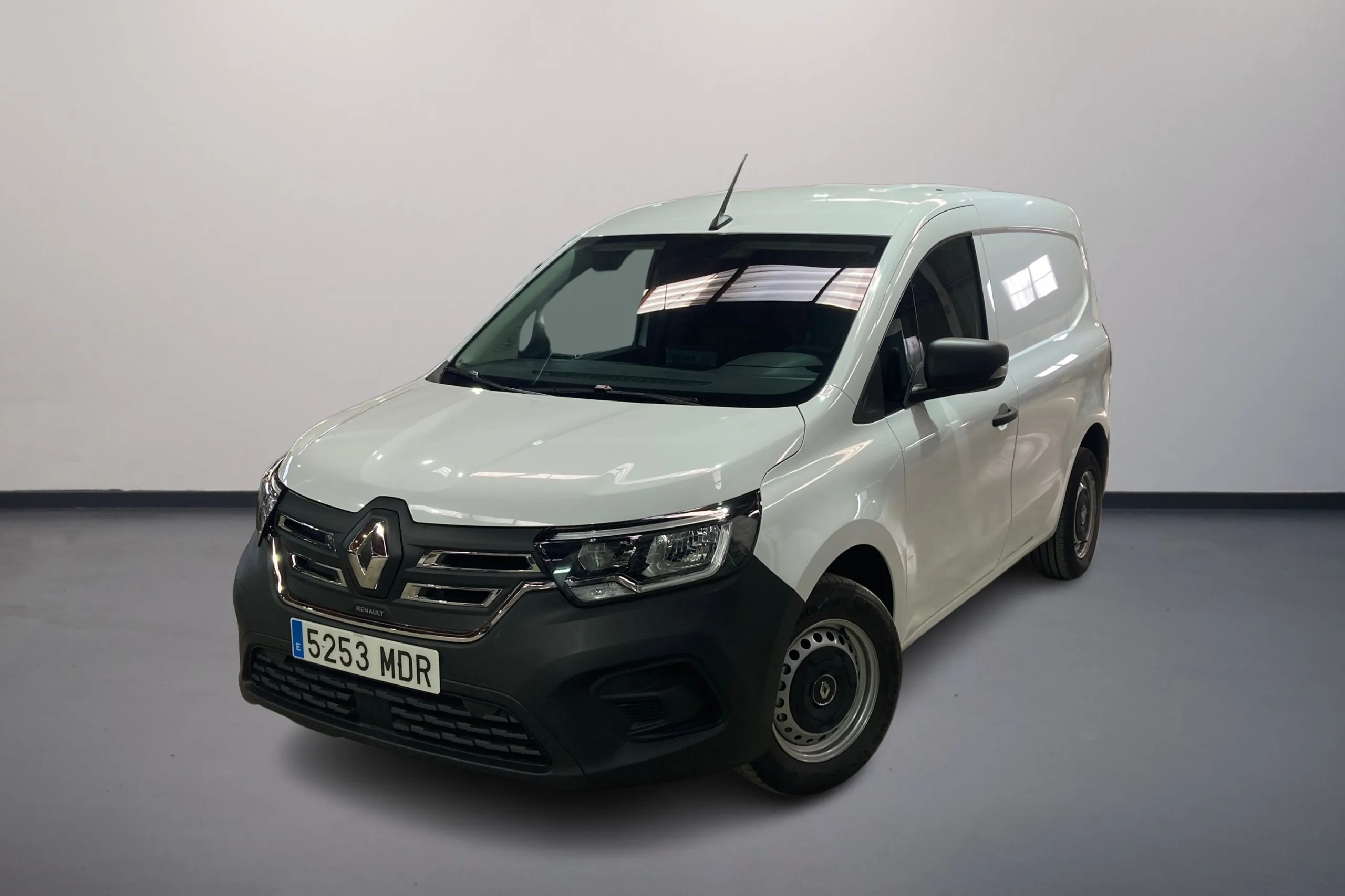 Imagen de RENAULT KANGOO