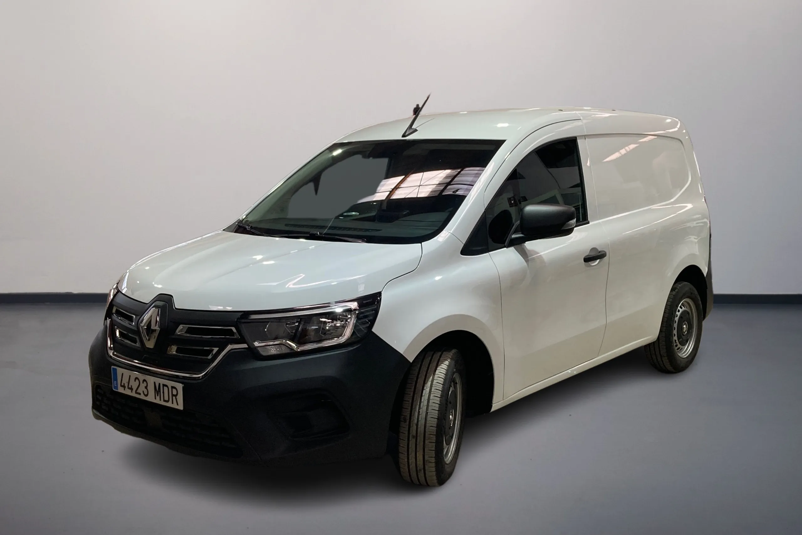 Imagen de RENAULT KANGOO