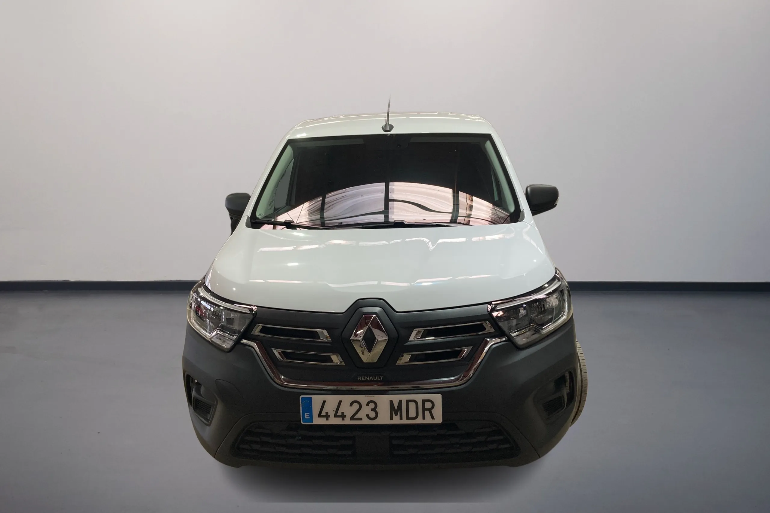 Imagen de RENAULT KANGOO