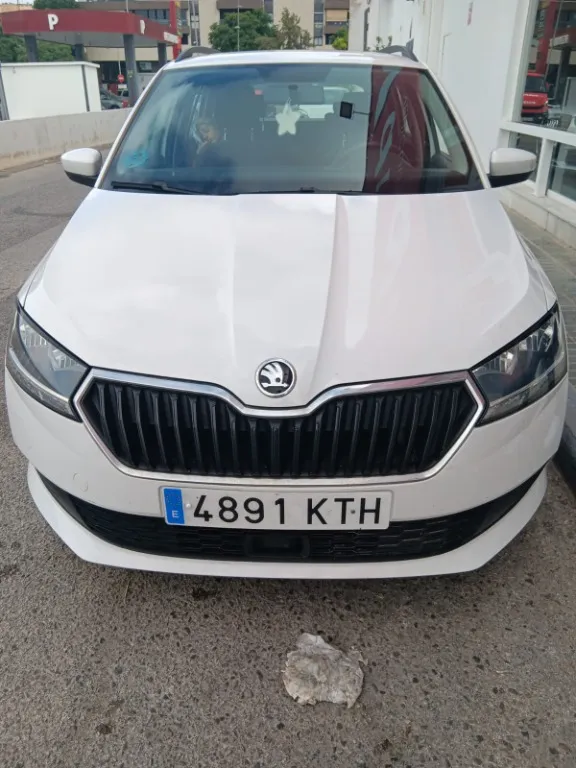 Imagen de SKODA FABIA